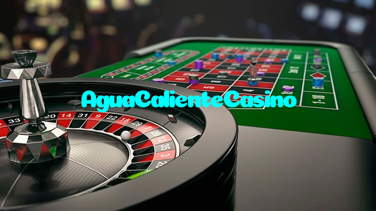 available types of AguaCalienteCasino bet including pre-match live express and system bets
