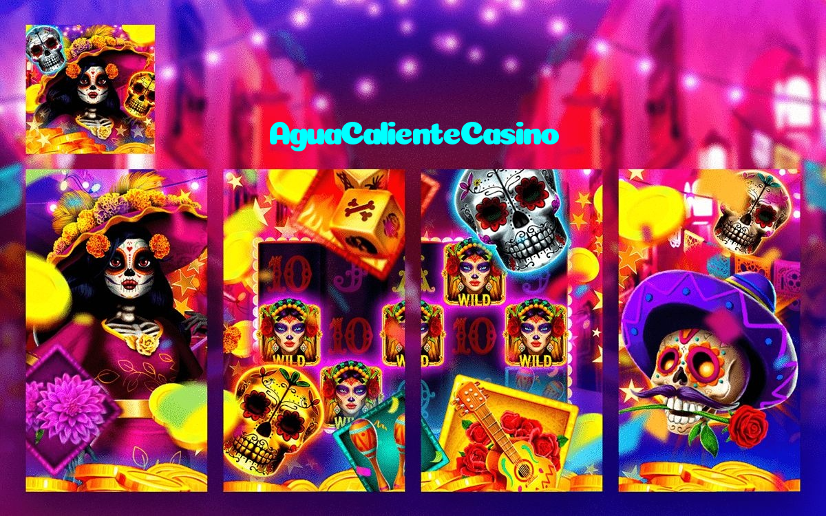 available types of AguaCalienteCasino bet including pre-match live express and system bets